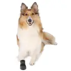 Aizsardzības apavi suņiem - Trixie Walker Care Protective Boots "M" 2pcs, Border Collie Фото num