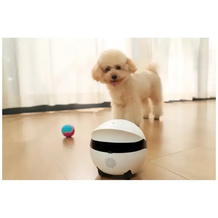 Intelligent companion robot ENABOT   ROLAMINI Фото num
