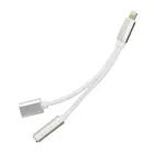 Adapter AUX 2in1 Lightning (male) to Lightning (female) / Jack 3,5 mm (female) silver Photo