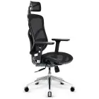Ergonomic chair Diablo Chairs V-Basic black Photo