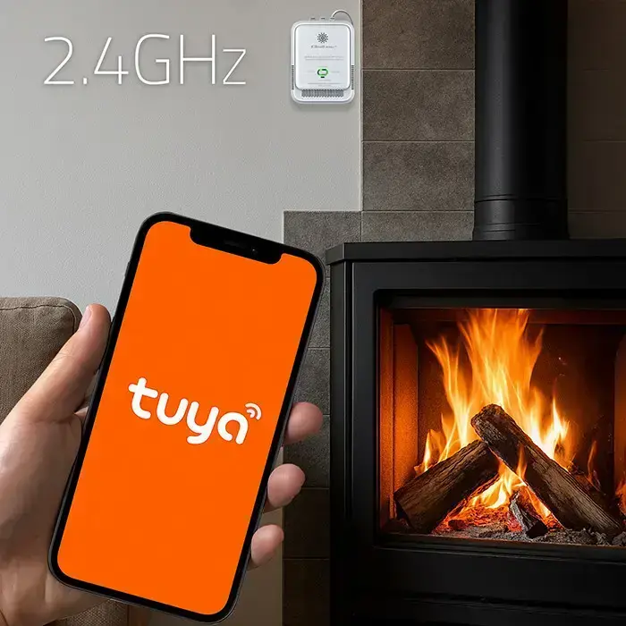Qoltec Certified Natural Gas Leak Sensor | CH4 detector | NG | Tuya | Wi-Fi | 85dB alarm | LED  Фото num