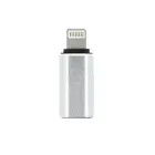 Adapter Type C (female) to Lightning (male) silver Photo