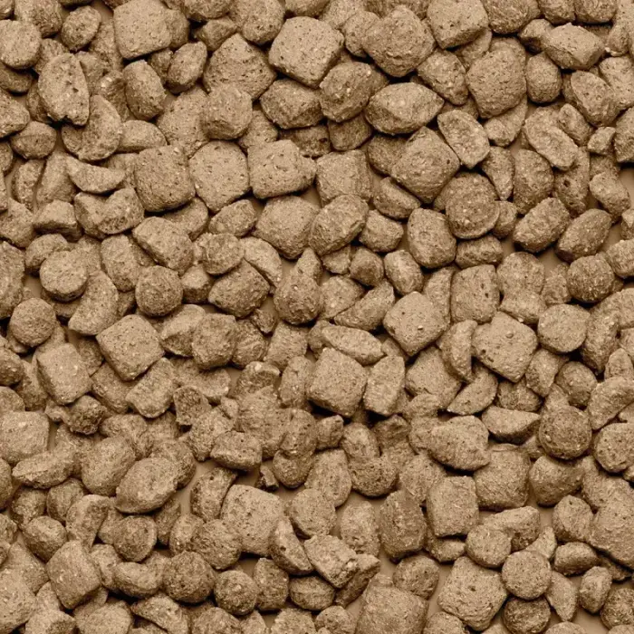 Barība mājas žurkām - Beaphar Care+ Rat, 1.5 kg Photo
