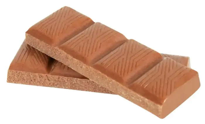 Gardums suņiem - Trixie Schoco Dog Chocolate, 100g Foto 2