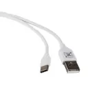 CAR CHARGER MAXXIMUS CANNY 1A + TYPE-C Foto 3