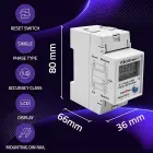Qoltec Single-phase electronic energy consumption meter for DIN rail | RESET | periodic and continuous meter | 230V | 60A | LCD | LED | 2P Фото num