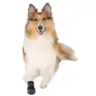 Protective boots for dogs - Trixie Walker Care Protective Boots "XL" 2pcs, German Shepherd Photo