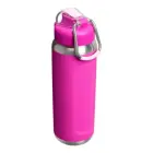 Termopudele The Stanley Wellspring Bottle 0.71L violeta  Foto 3