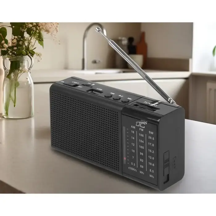LTC portable radio REGA, USB, TF, AUX, mini LED flashlight, black Foto 4