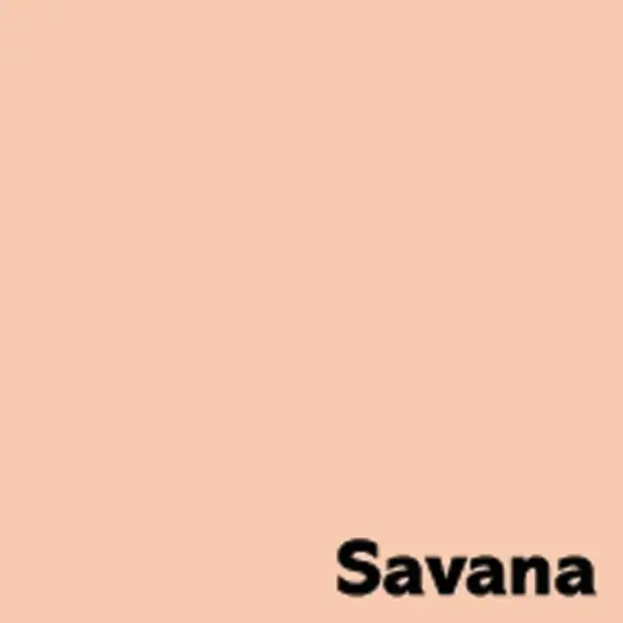 Krāsains papīrs IMAGE COLORACTION, A4, 80 gsm, 50 loksnes, SAVANA / PALE SALMON Фото num