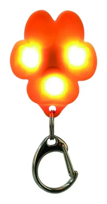 Reflective charm : Trixie Flasher for dogs, USB, 3.5 × 4.3 cm Photo