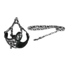 Dogness walking set leash+harness for dog (multicolor) Photo