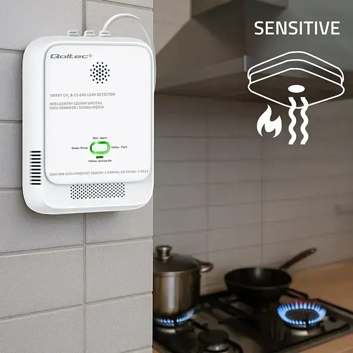Qoltec Certified wireless Gas Leak (CH4) and Carbon monoxide (CO) detector | alarm 85dB | LED Фото num