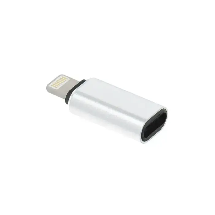 Adapter Type C (female) to Lightning (male) silver Photo
