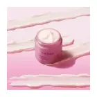 Caudalie Resveratrol-Lift Firming Night Cream 50ml Фото num