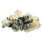 Forever Light LED Solar Garland SUNARI FLS-125 5,5m + 10 bulbs gold G40 IP44 Фото num