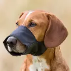 Uzpurnis suņiem - Trixie Muzzle, Nylon. Size M - L, Snoup strap 26 cm, 7.7 cm Foto 1