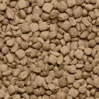 Barība mājas žurkām - Beaphar Care+ Rat, 1.5 kg Photo