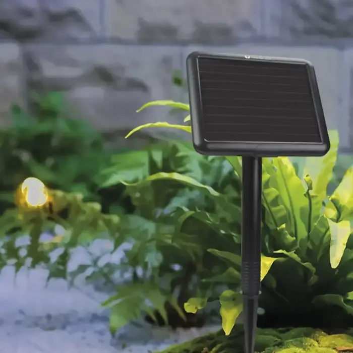 Forever Light LED Solar Garland SUNARI FLS-60 7,5m 10 bulbs IP44 Фото num