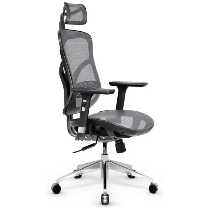 Ergonomic chair Diablo Chairs V-Basic black-gray Фото num