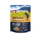 Dry food for dogs - Ontario Dog Adult Medium Lamb and Rice, 0,75kg Photo