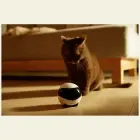 Intelligent companion robot ENABOT   EBO SE Фото num