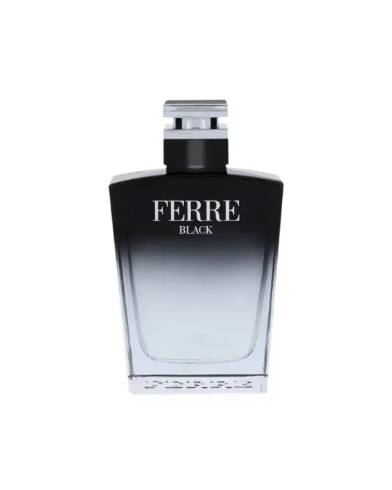 Gianfranco Ferre, Ferre Black, Eau De Toilette, For Men, 100 ml *Tester Foto 1