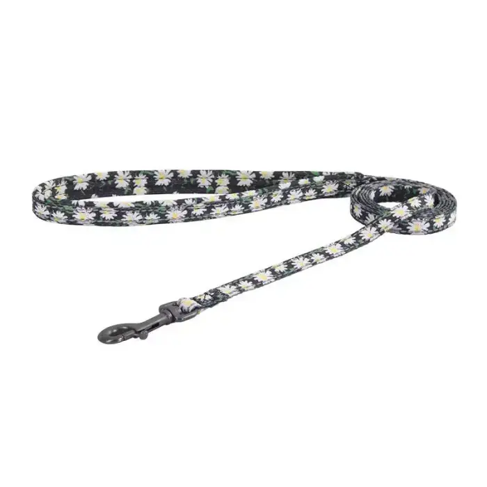 Dogness walking set leash+harness for dog (multicolor) Photo
