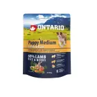 Dry food for puppies - Ontario Dog Puppy Medium Lamb and Rice, 0.75kg Photo