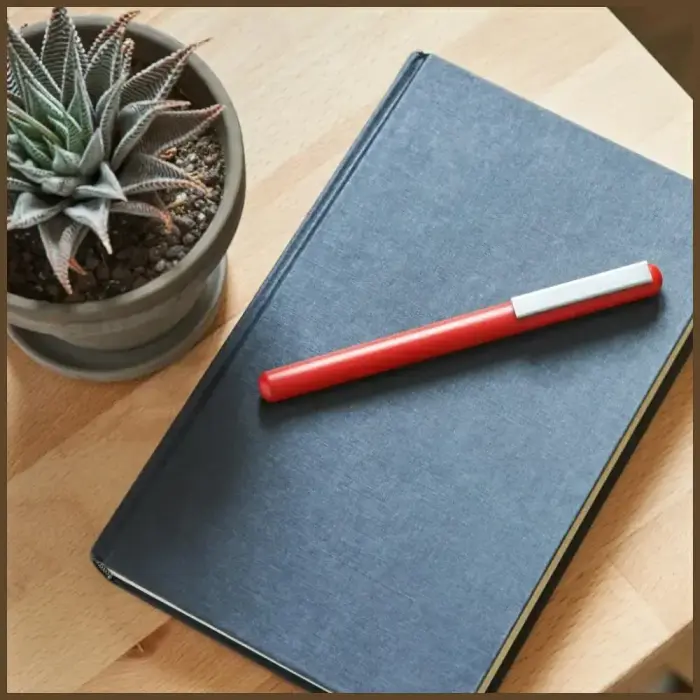 Lexon C-Pen Pen with USB-C 32GB Flash Drive dark red LS101DR Фото num