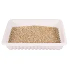 Grass for kittens : Trixie Bio Cat Grass (bowl), 100 g Photo