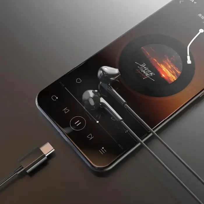 Dudao X3C In-Ear Wired USB-C Headphones 1.2m - Black Фото num