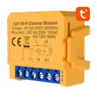 Smart socket switch WiFi Avatto DMS16-2 TUYA Фото num
