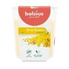 Svece arom. stikla gl. True Scents Ø80x73mm mimosa  Foto 1