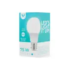 LED Bulb B22 A60 10W 230V 6000K 1060lm Forever Light Photo