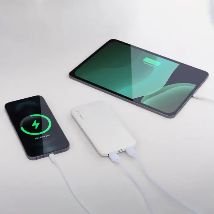 Wozinsky внешний аккумулятор (powerbank) Li-Po 10000mAh 2 x USB белый (WPBWE1) Фото num