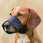Намордник для собак - Намордник Trixie, нейлон. Размер XS, ремешок намордника 16 см, 5 см Фото num
