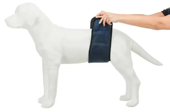 Diapers for male dogs : Trixie Diapers for male dogs, mesh material, S-M: 37-45 cm, dark blue Photo