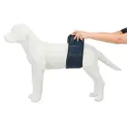 Diapers for male dogs : Trixie Diapers for male dogs, mesh material, S-M: 37-45 cm, dark blue Photo
