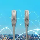 Qoltec Cable Patchcord UTP | CAT5e | 2 x RJ-45 | 1m | High speed | Gold Foto 7