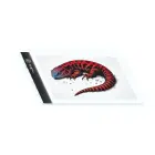 Maxlife lightpad board LED MXGT-01 for tracing Photo