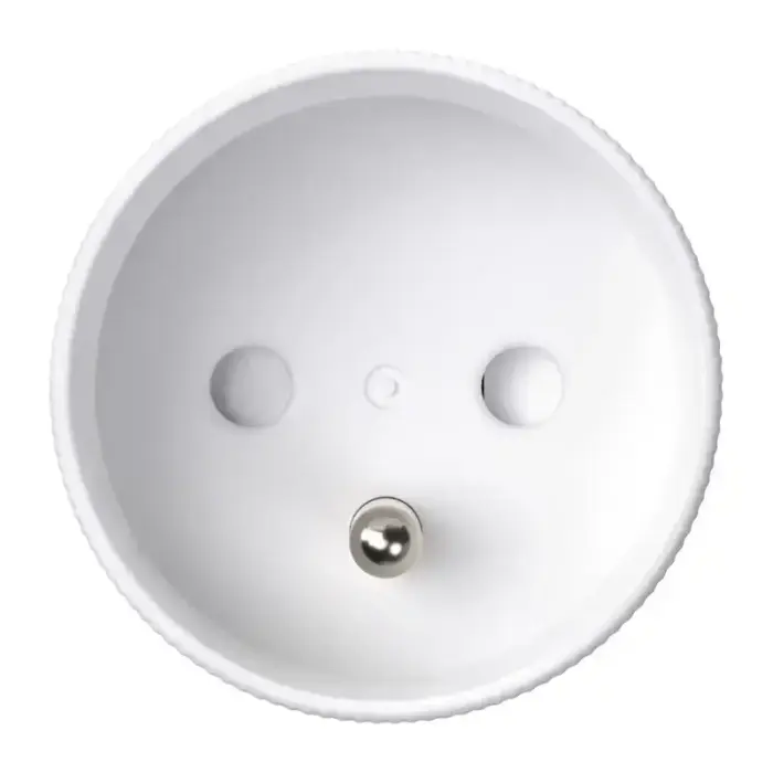 Avatto OT60-FR Smart Socket Photo