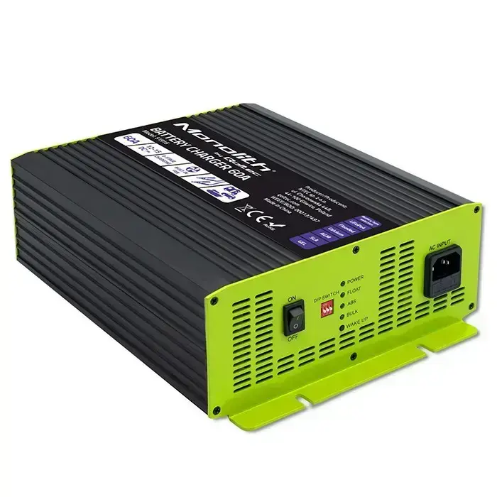 Charger for LiFePO4 AGM GEL SLA batteries 60A 1 Photo
