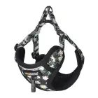 Dogness walking set leash+harness for dog (multicolor) Photo