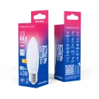 Forever Light LED Bulb E27 C37 4.2W 480lm 6000K class E Photo