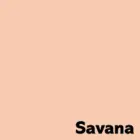 Krāsains papīrs IMAGE COLORACTION, A4, 80 gsm, 50 loksnes, SAVANA / PALE SALMON Фото num