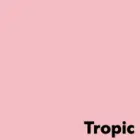 Krāsains papīrs IMAGE COLORACTION, A4, 80 gsm, 50 loksnes, TROPIC / PALE PINK Фото num
