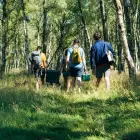 Aukstuma kaste The Cold-For-Days Outdoor Cooler 28,3L balta Foto 5