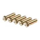 Anycubic Nozzles for the Kobra 2 Series (5 pcs.) Foto 3