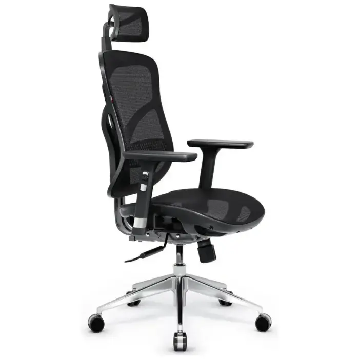 Ergonomic chair Diablo Chairs V-Basic black Photo